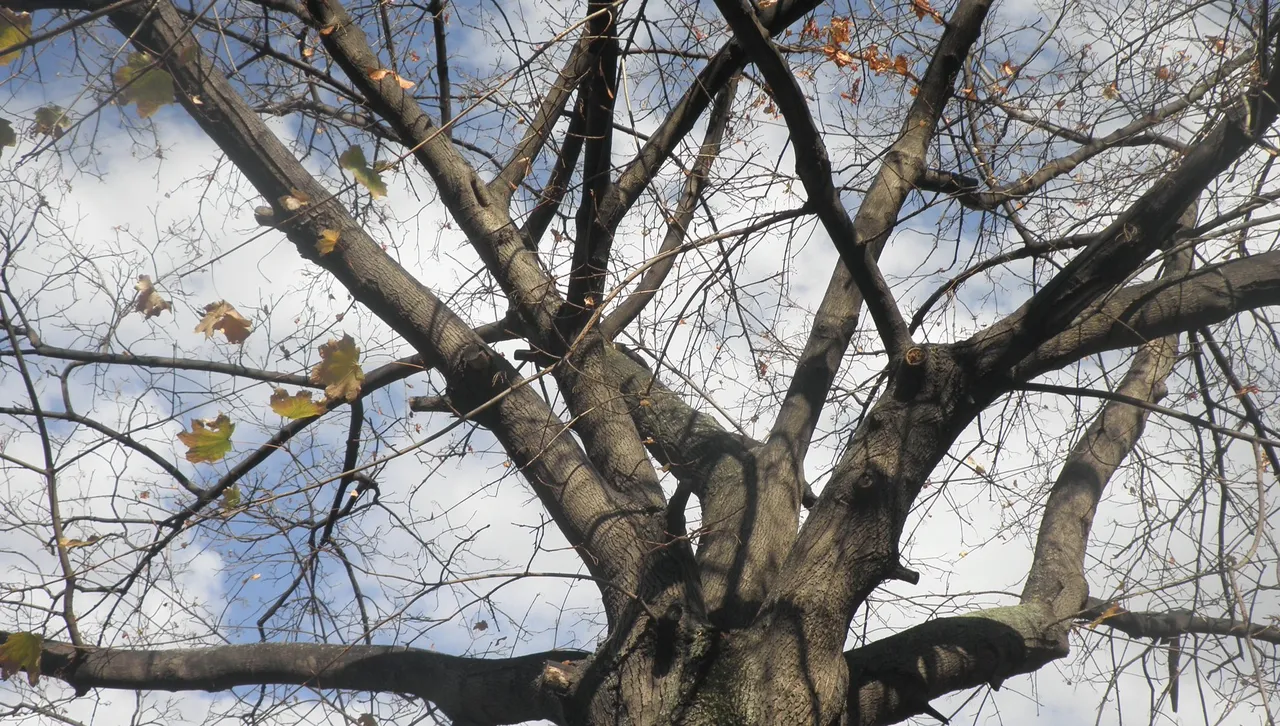 Сутринта на места в Лудогорието както и в Източните Родопи