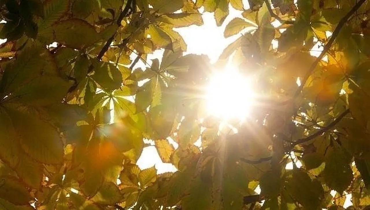 Летни температури, със слънце и ясно небе почти през целия ден 