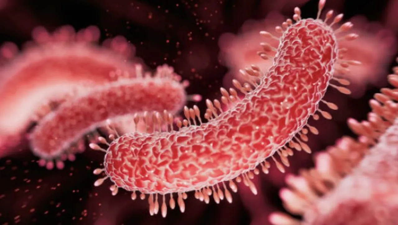 Създадоха "бактерия камикадзе“, която ликвидира ракови тумори и после се самоунищожава 