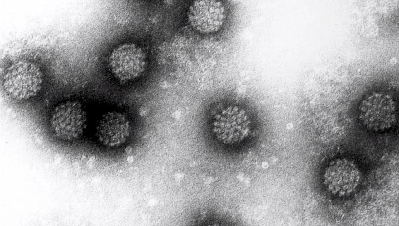 Пробив в женското здраве: Вече можеш да се тестваш за рак на маточната шийка у дома