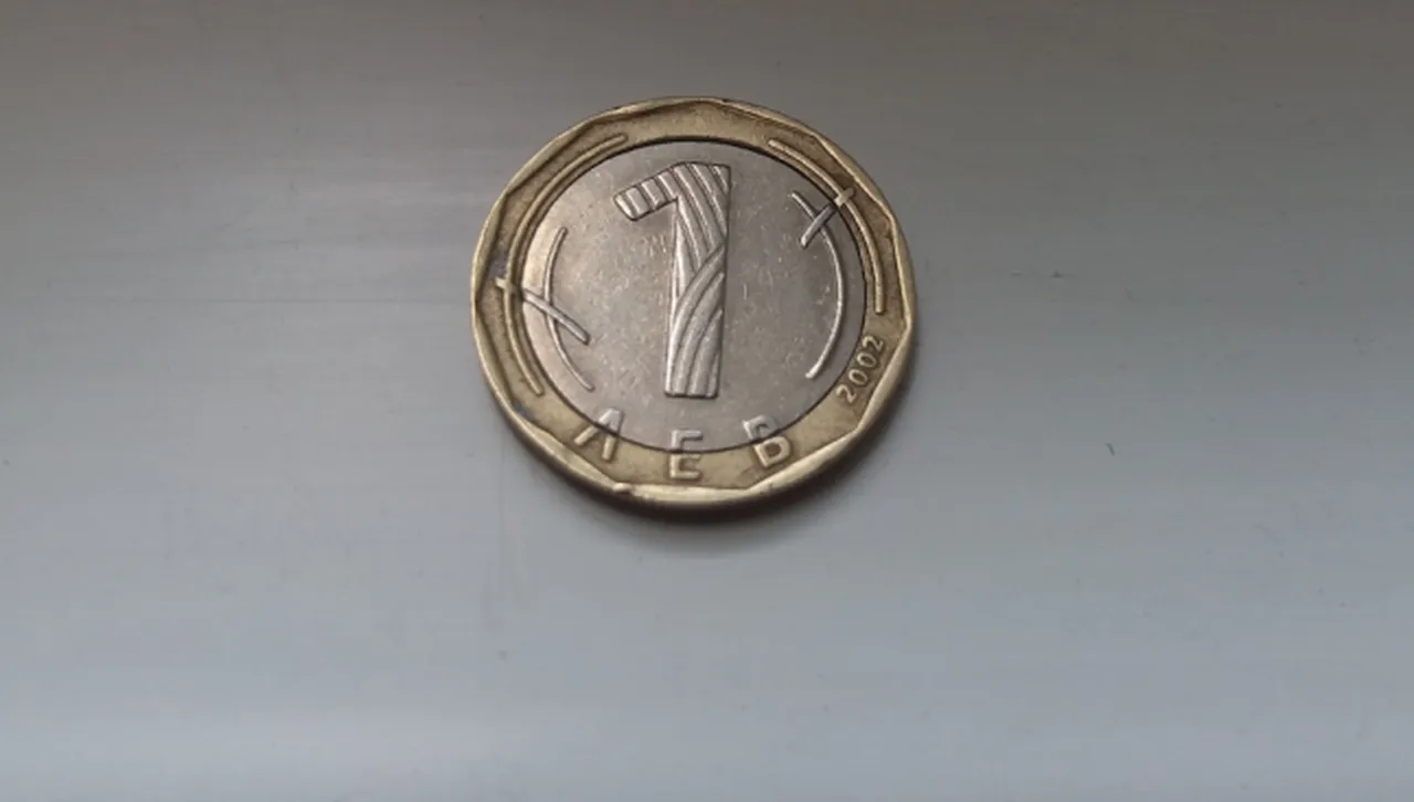 Финансист: Паническата обмяна на левове в чейндж бюрата е вот за еврото