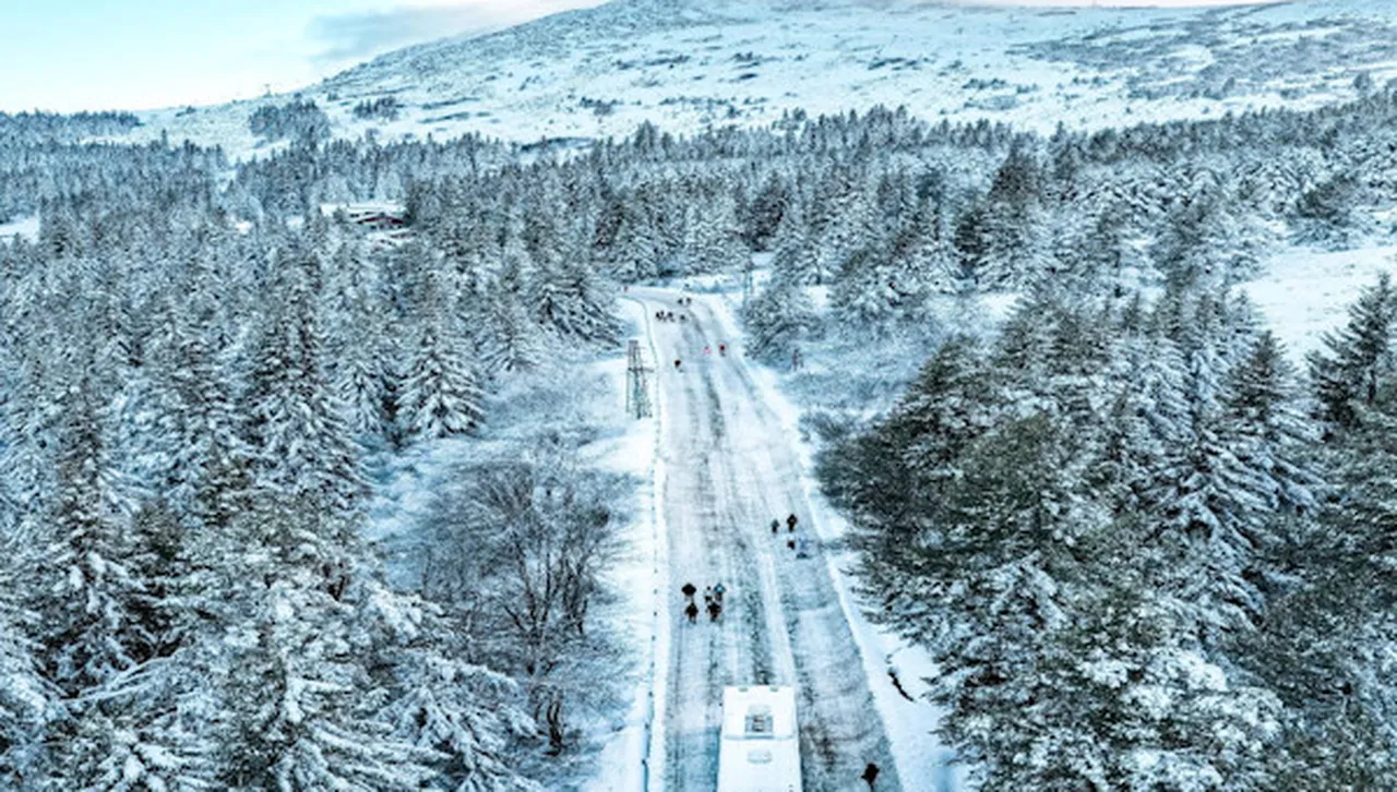 Градският столичен транспорт ще се движи по установеното разписание Има