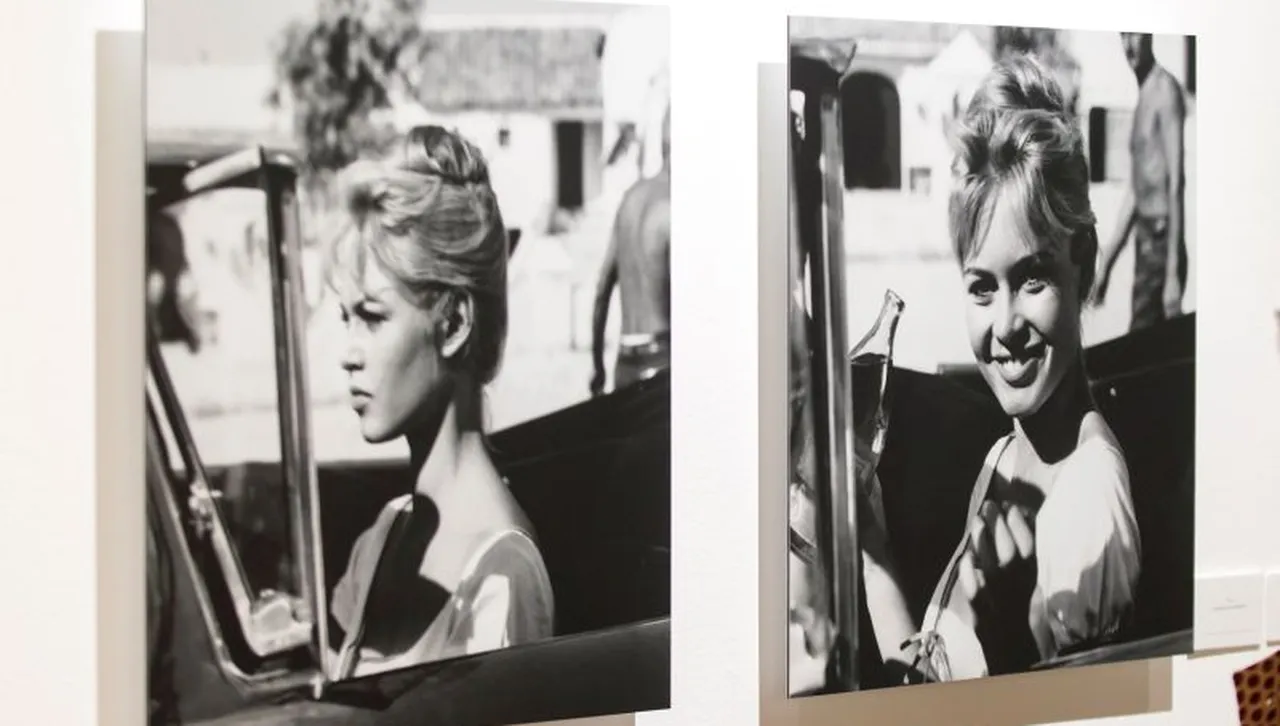 От Елисейския дворец предложиха да организират държавно поклонение но семейството