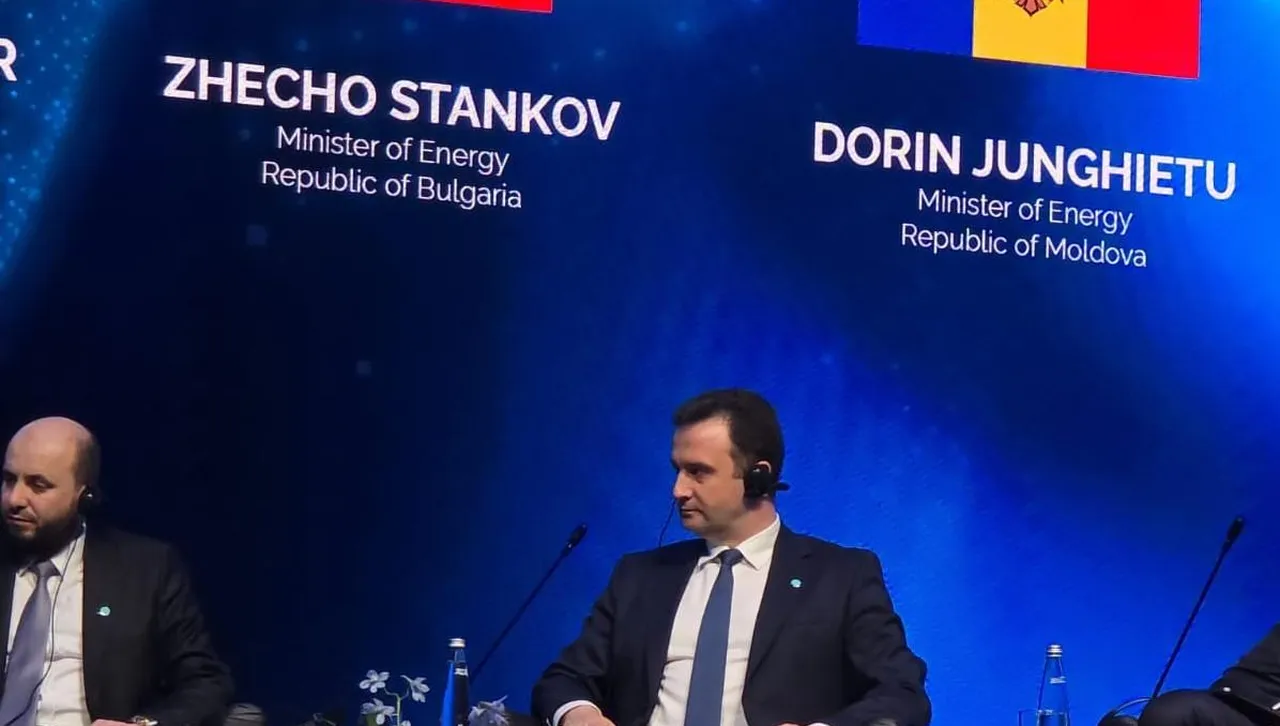 България и Турция с общи усилия в областта на електроенергетиката и енергийната ефективност