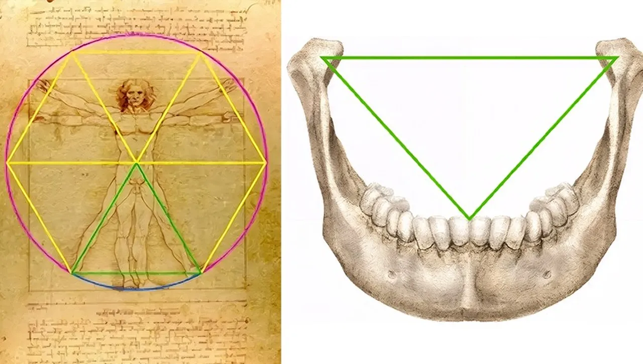 Скритата геометрия на Да Винчи: Как един зъболекар реши мистерия, убягвала на историците векове