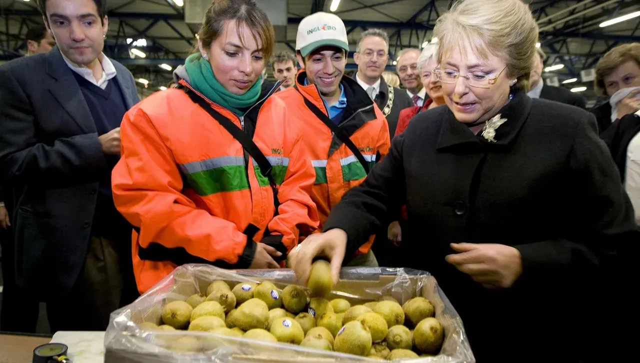 Кивито стана първият плод с официален сертификат от ЕС - полезен за здравето