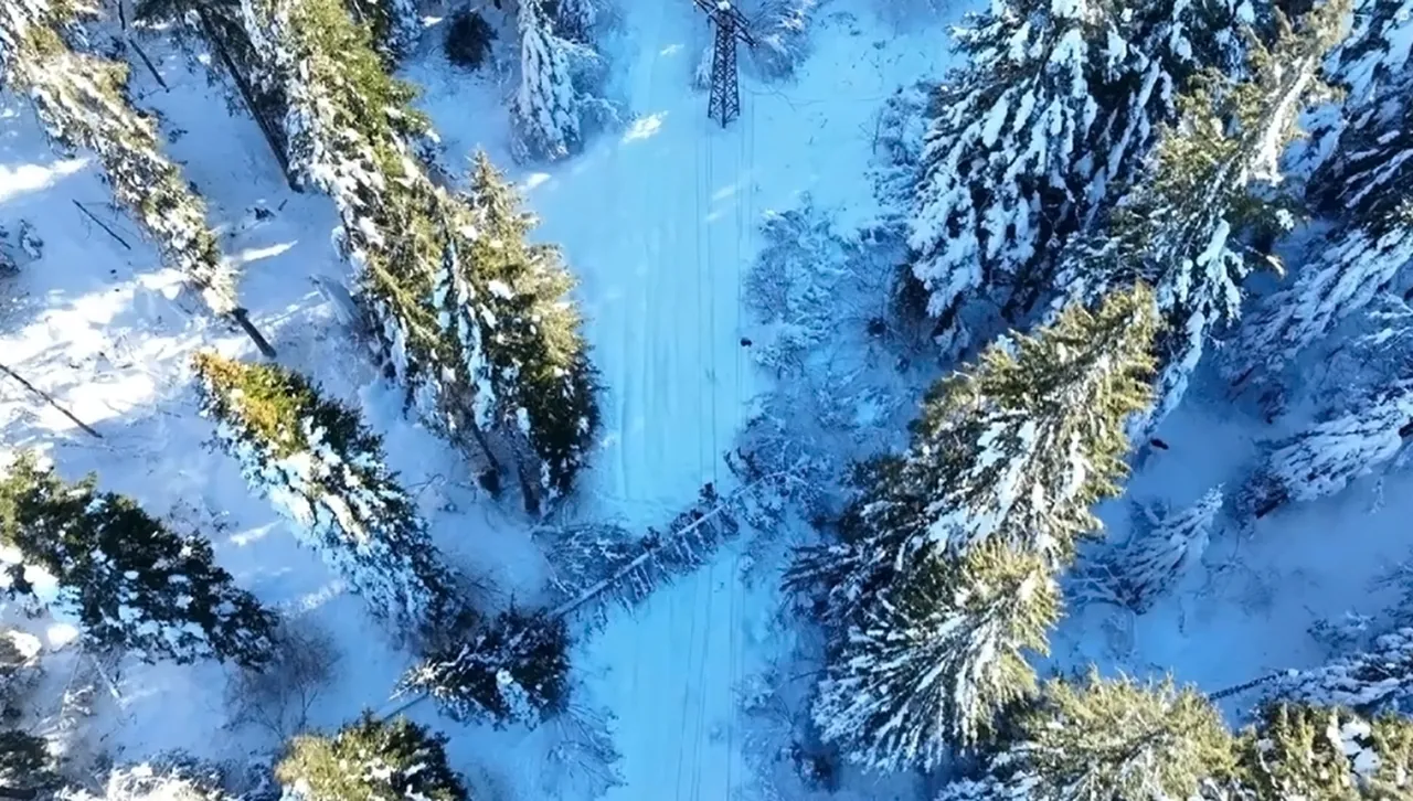 Максималните температури в Северна България ще бъдат между 5° и