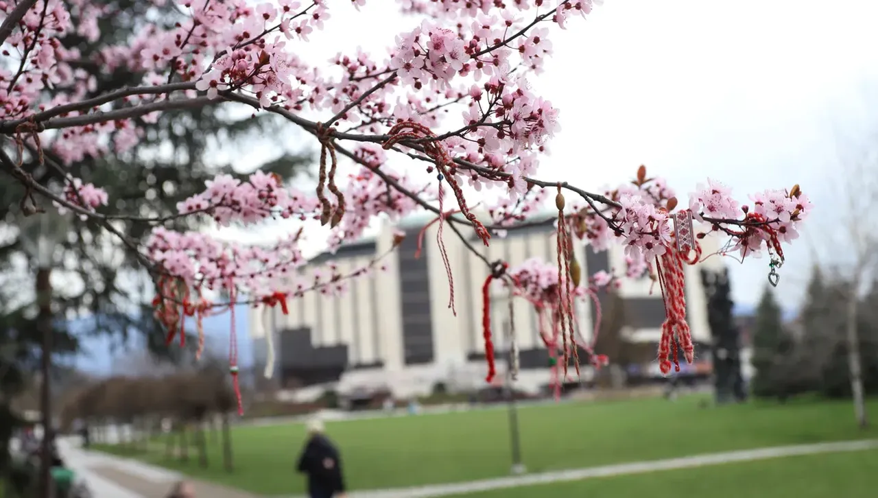 Денят започва със слънце, следобед небето се покрива с облаци