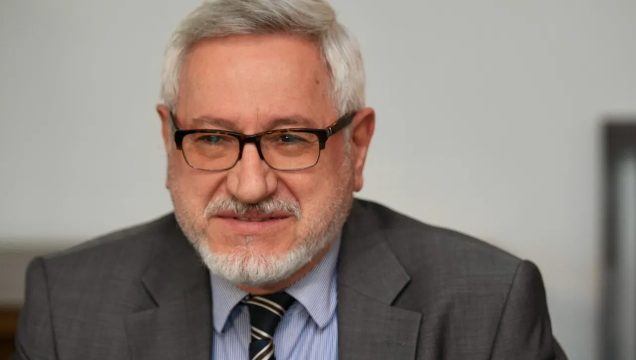 Проф. Ангел Димитров: Историческата комисия с РСМ е алиби - формално работи, но е в застой