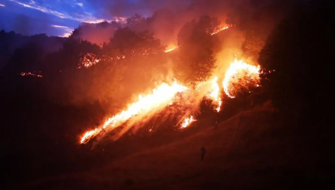 Борбата с  огнената стихия в Пирин продължава, екипите са на терен от 5 часа сутринта