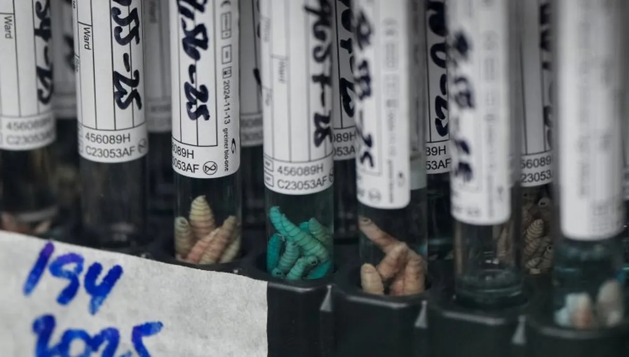 Жител на Калифорния се е заразил от чума