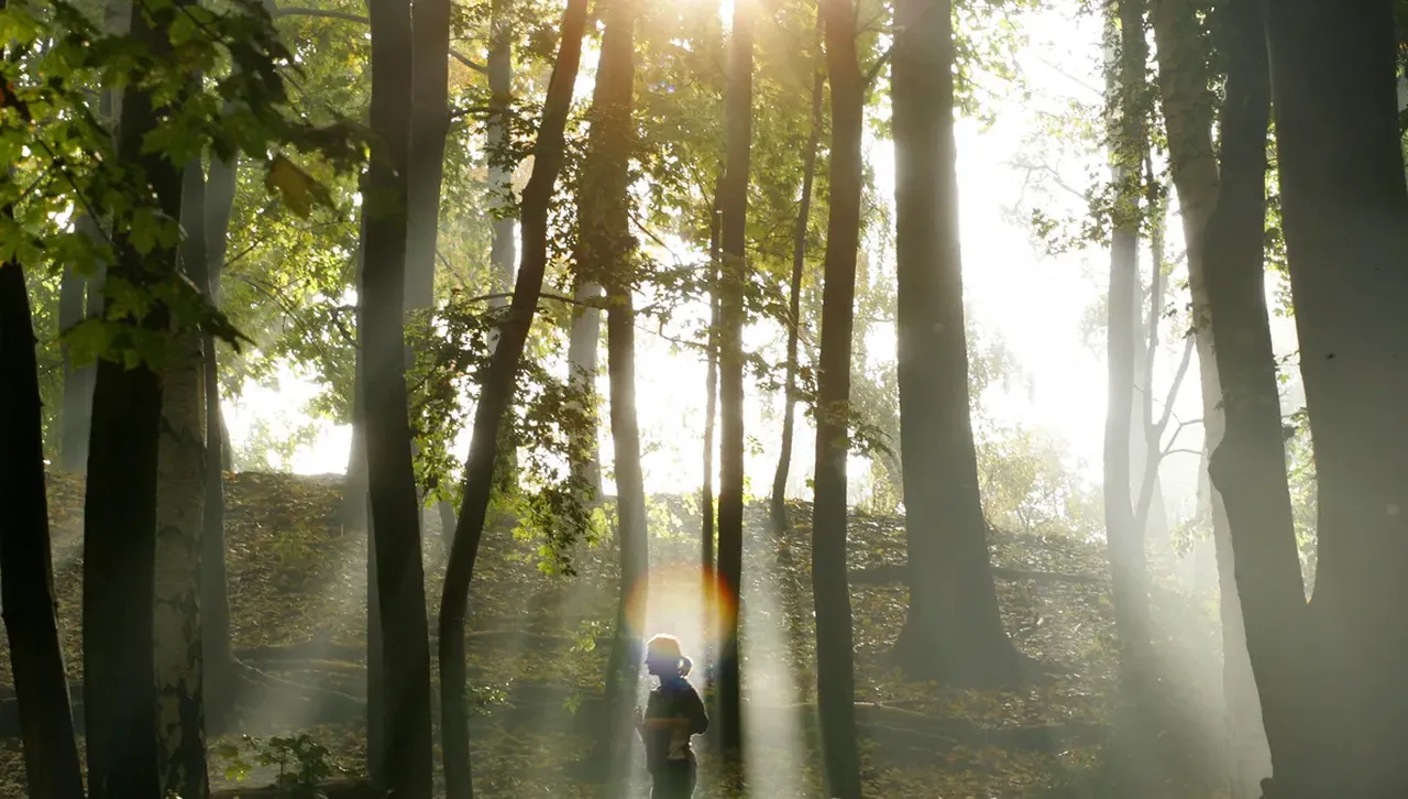 Предимно слънчево време, сутрешните мъгли на север и изток се разсейват 