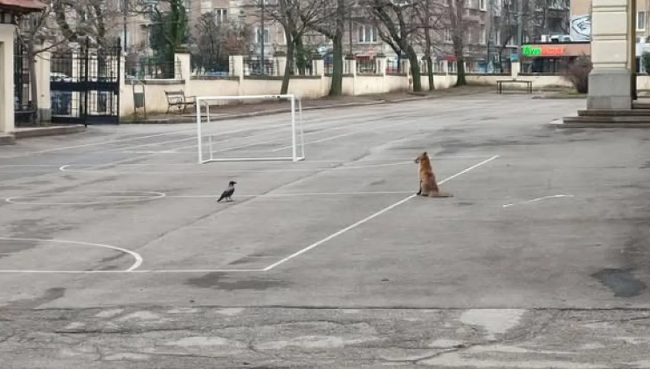 По думите на директора Адриан Николов това е първо посещение