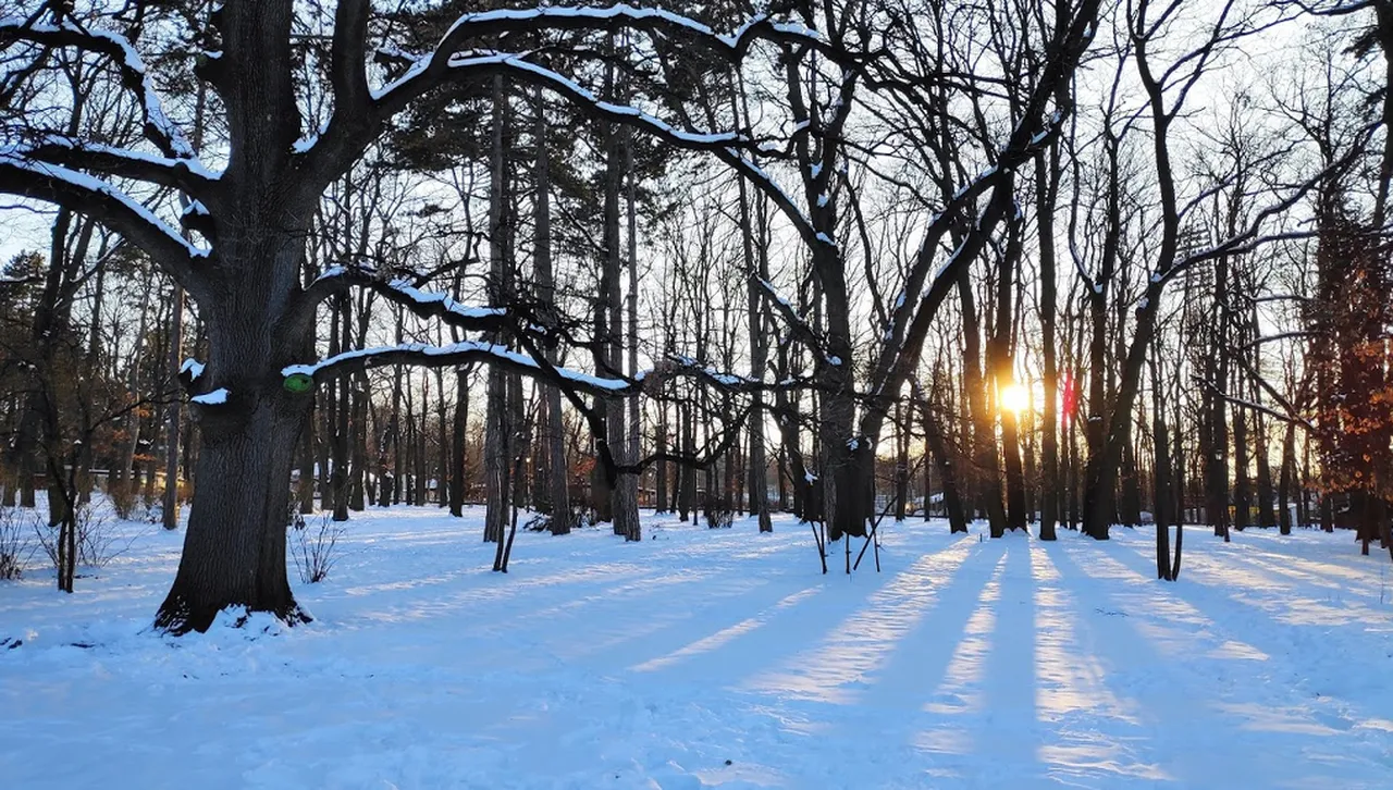 Седмицата започва със слънце и температури на места до 17 градуса