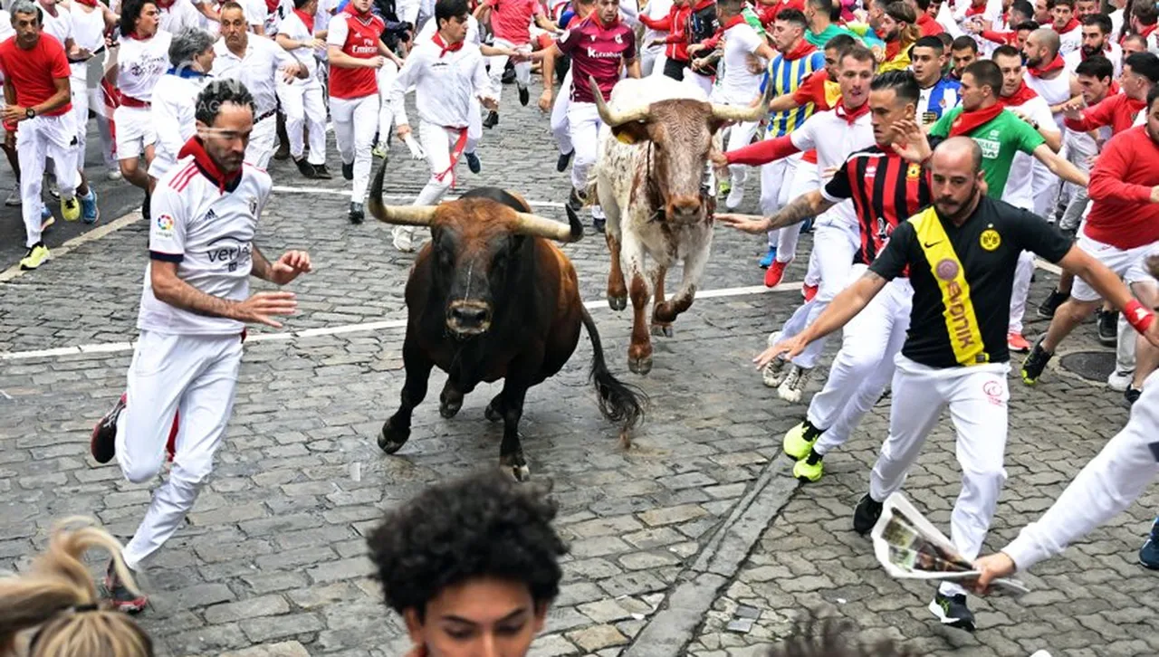 Шестима са ранените след надбягването с бикове в Памплона