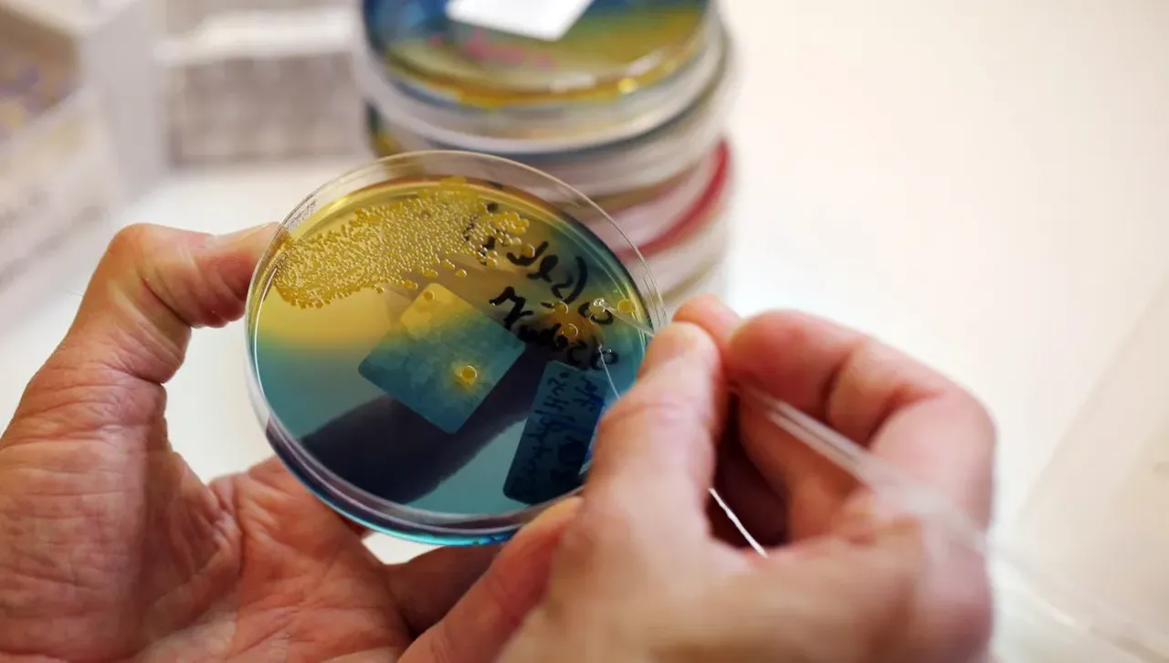 Създаването на огледални клетки? Учени са разтревожени дали не е опасен този експеримент