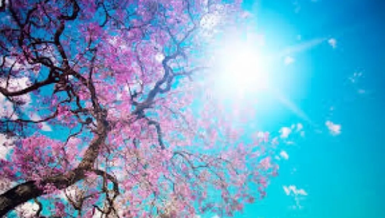 Валежите отстъпват, слънчево почти през целия ден