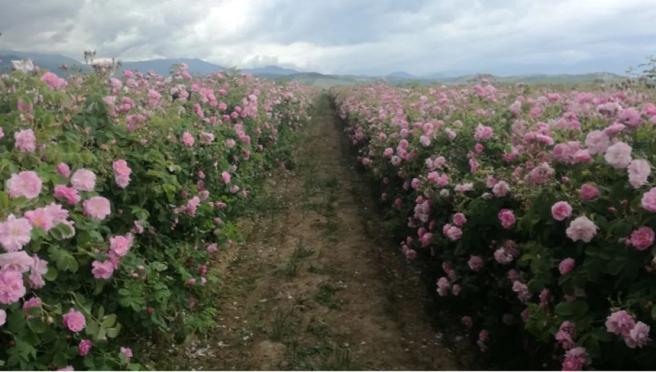 Кметът на община Казанлък Галина Стоянова подчерта важността на институционалната