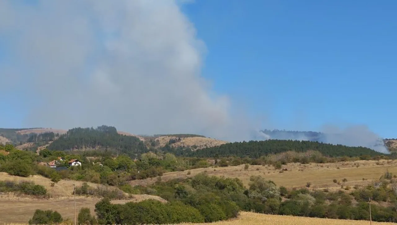 Голям пожар край Сливница продължава да нараства, насочва се към Перник
