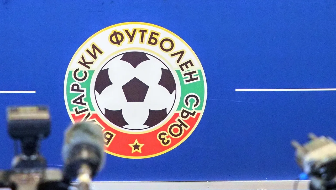 ФИФА глоби БФС с 5000 швайцарски франка заради поведението на публиката на мача с Турция