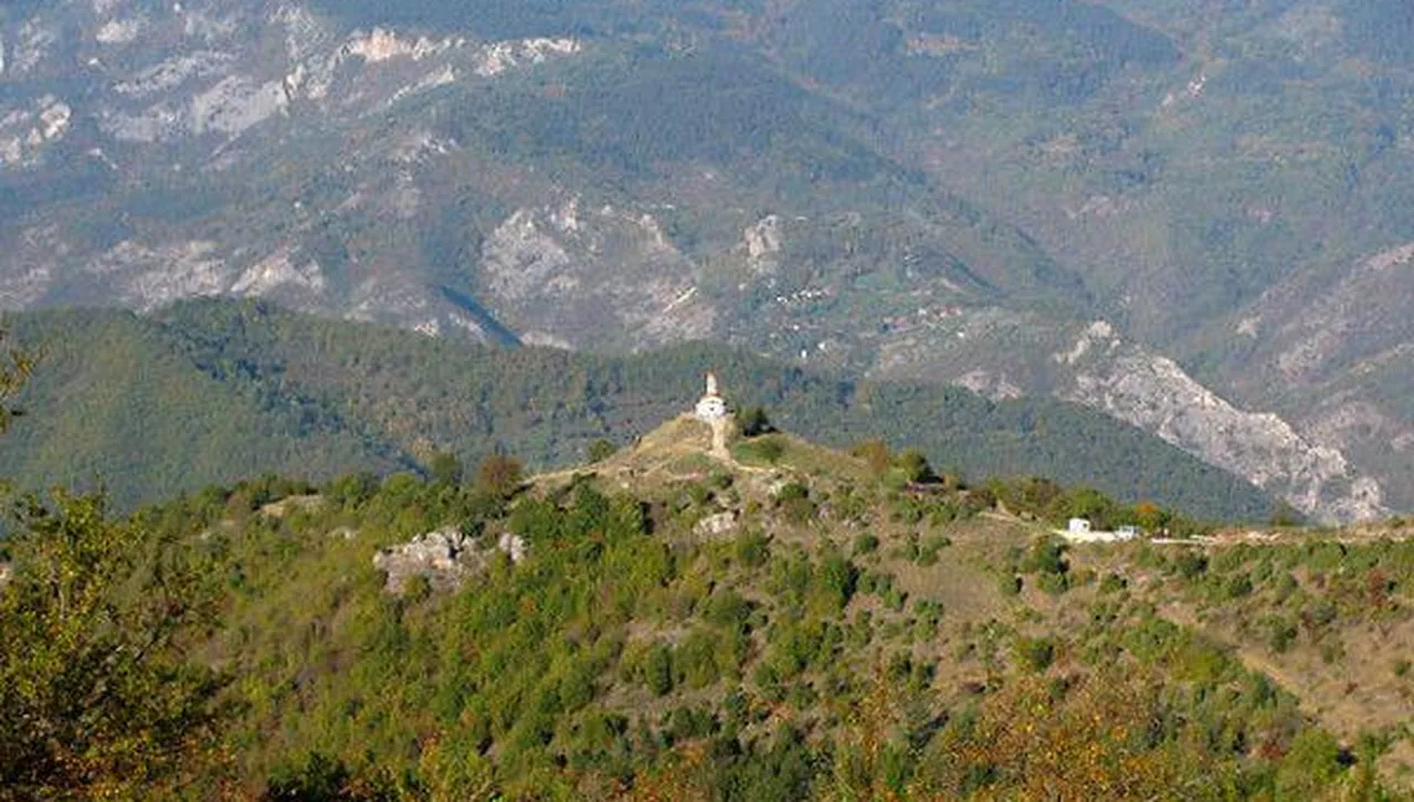 Собственици на гори: Стартира кандидатстването за средства за борба с горските пожари