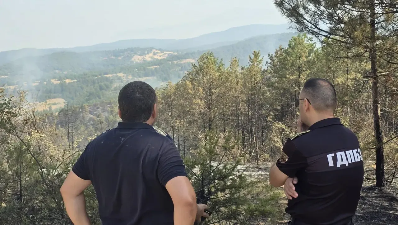 Възобновен пожар над село Плоски усложни битката с огнищата в Пирин