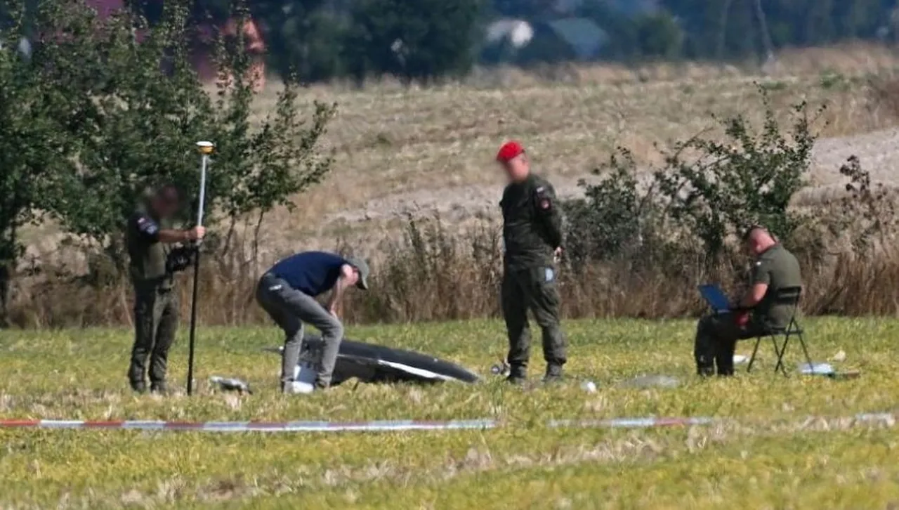 Какво не разбра НАТО за целта на руските дронове над Полша