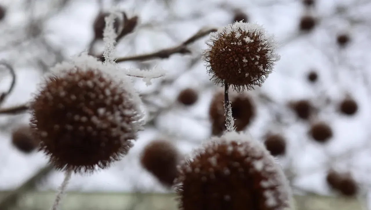 Студен въздух ще обхване България, максималните температури ще достигат 1°- 6°