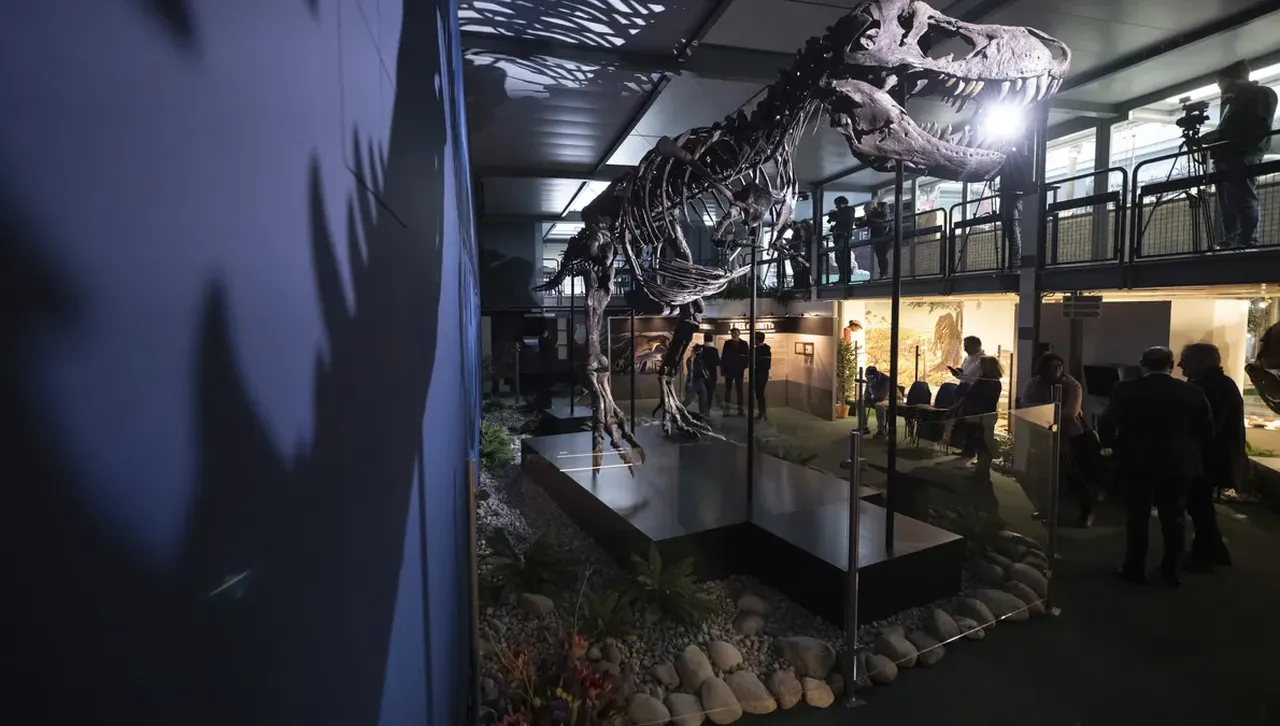 Фосили от праисторическите крилати птерозаври разкриват палеонтологична загадка