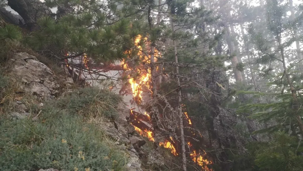 Разраства се пожар в село Илинденци: Обхвана над 200 декара борова гора