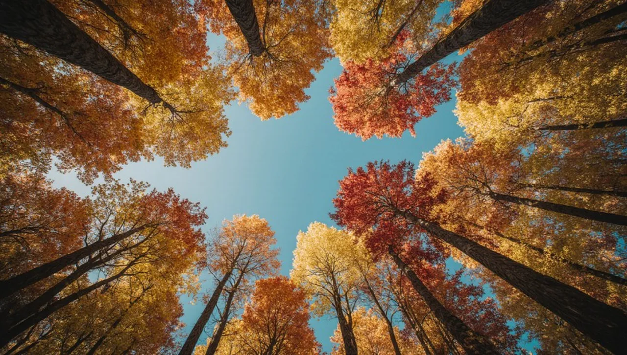 Последен топъл ден преди дъждовете: до 23° и мъгли сутрин