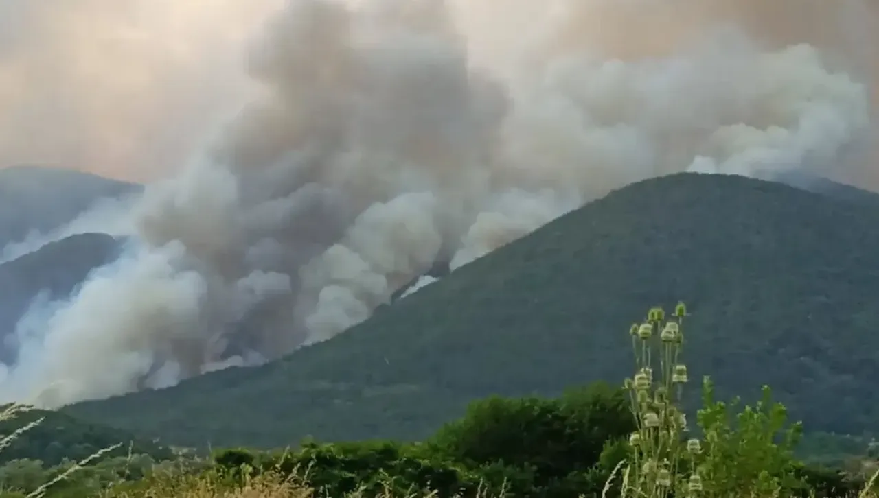 Обезвредиха опасни химически вещества в Стара Загора