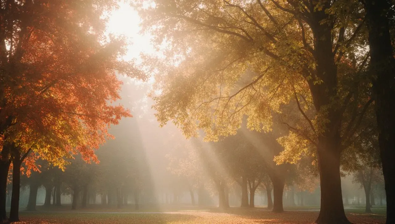 След дъждовния октомври - идва топъл ноември, с по-малко валежи