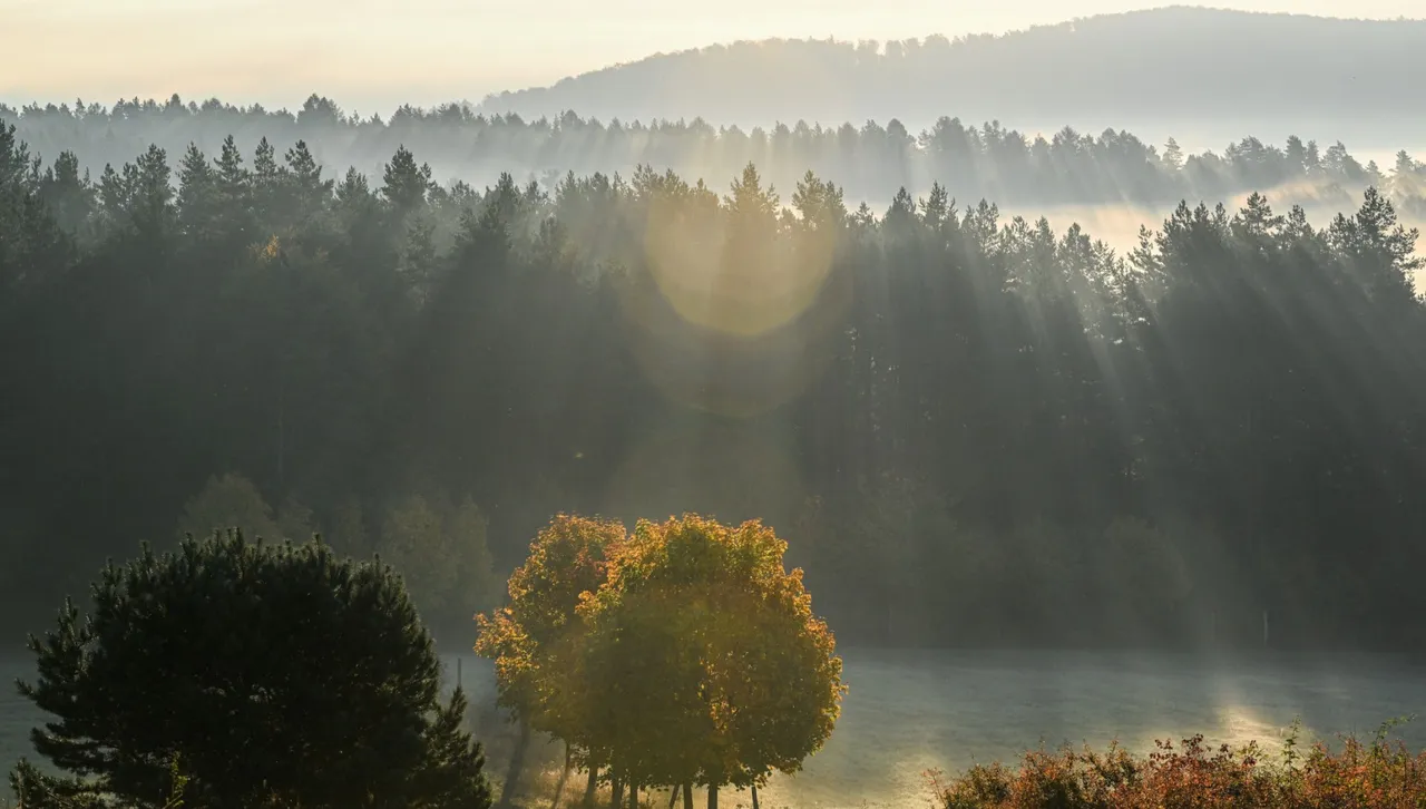 Максималните температури ще са между 7 и 12 градуса в