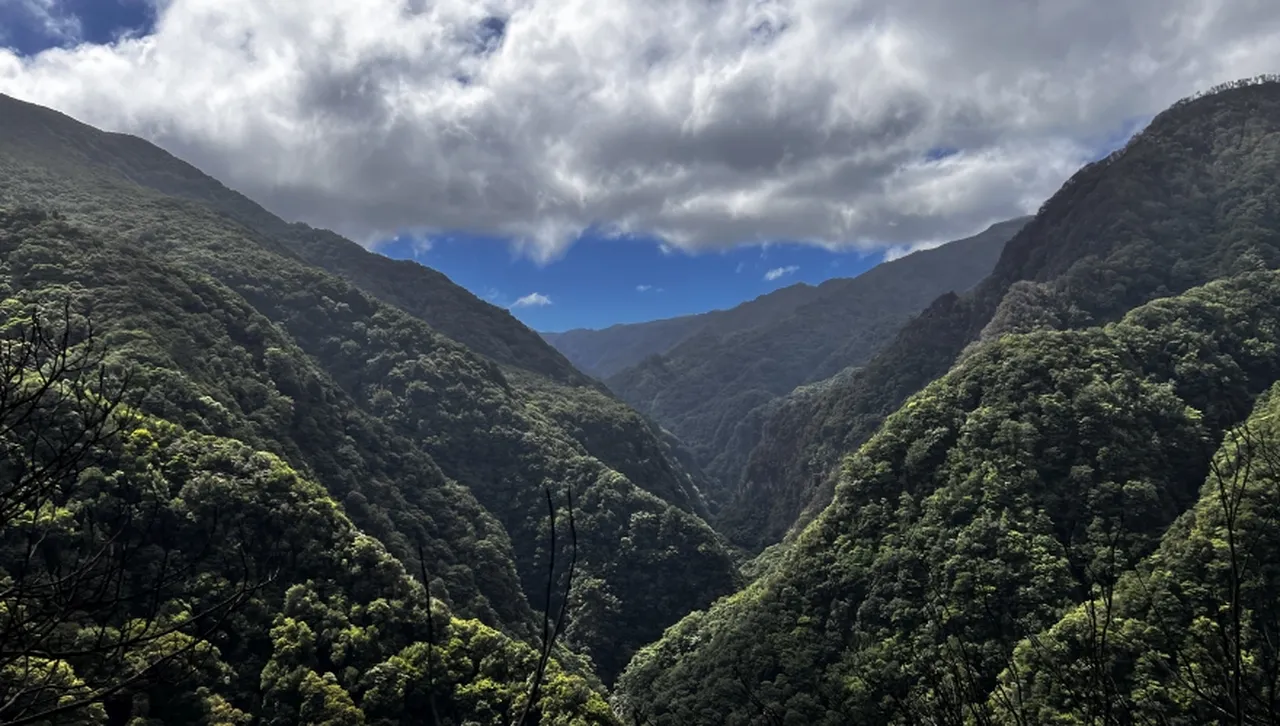 Човечеството губи връзката си с природата: какво ни очаква в бъдеще