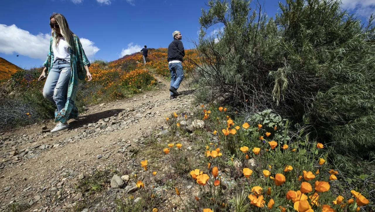 Скоростта, с която ходите, е в състояние да разкрие възрастта на вашия мозък