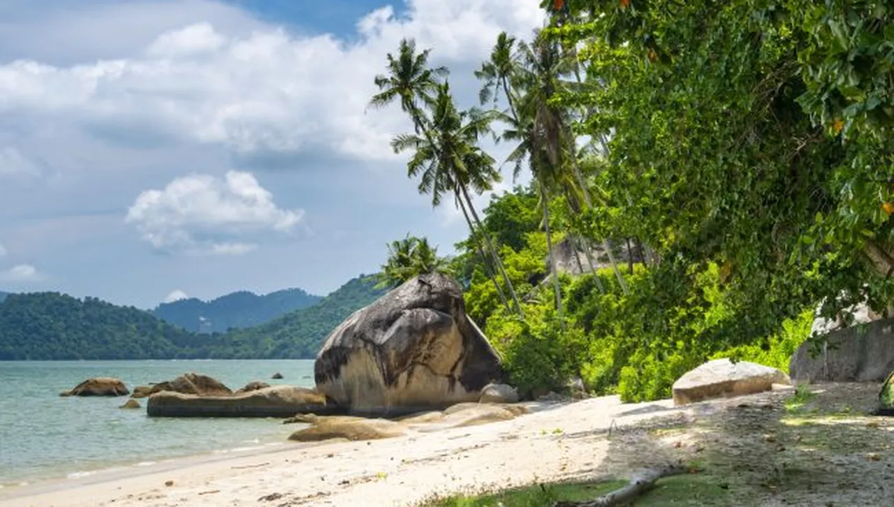Трекинг в джунглата и най-голямото убежище за орангутани: Малайзия е несравнима за приключения