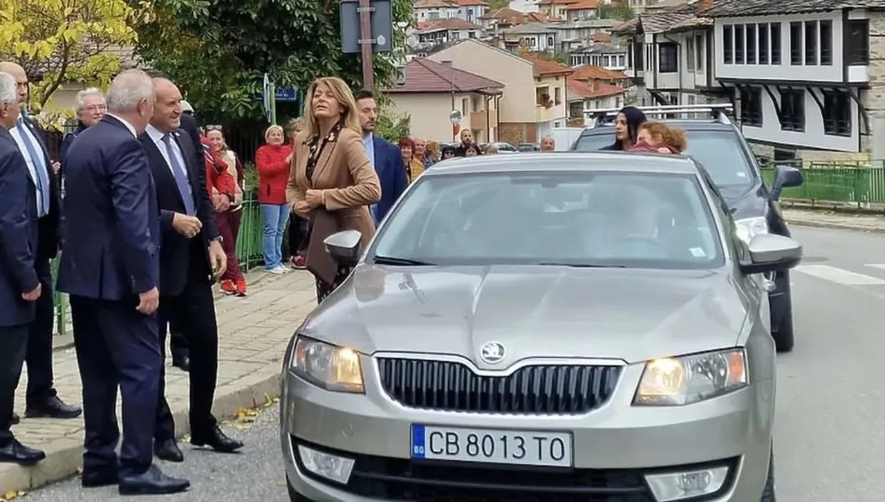 Към Радев - в гората няма демокрация, има дарвинизъм