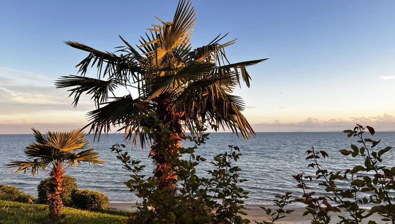 България посреща слънчев 29 октомври – топли часове преди новото застудяване