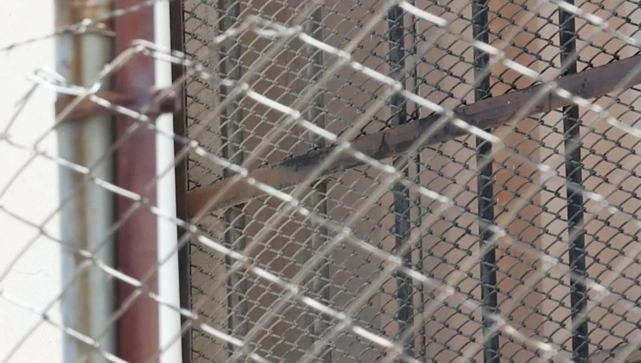 Над 3200 са случаите на изтезания в Турция през 2024 г., включително на журналисти