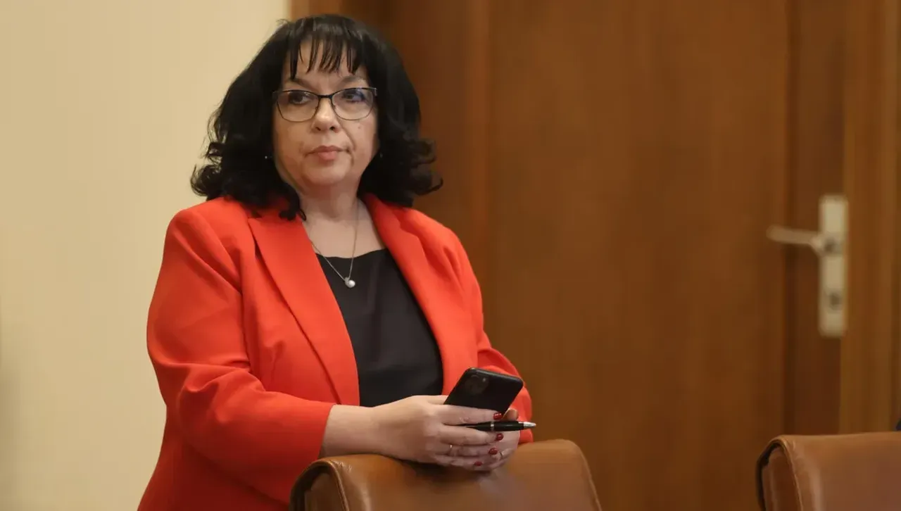 Теменужка Петкова: Вотът на недоверие не е за фискалната политика, а срещу еврозоната