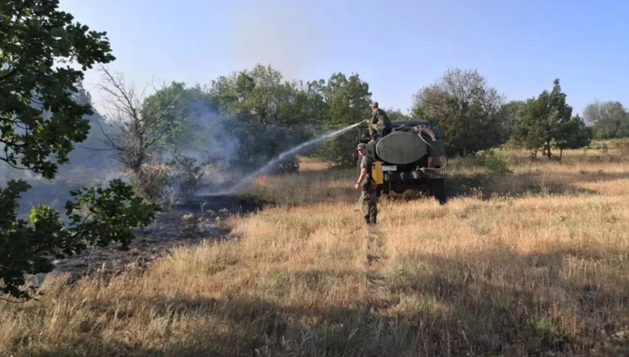 Военослужещи от Сухопътни войски гасят пожар, засегнал учебен център „Сливница“