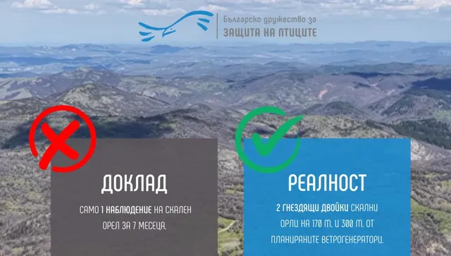 Скандал около ветропарка в „Крумовица“: БДЗП откри сериозни пропуски в екологичната оценка