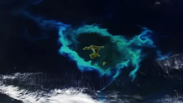 Сателит на НАСА е заснел феномен в океана, който ви кара да настръхнете