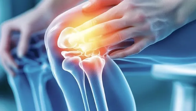 Революция срещу остеопорозата: учените откриха „ключа“ към възстановяването на костите