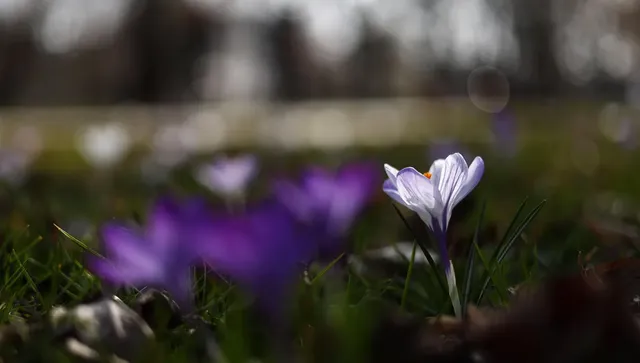 Облачно време с дъждове на юг, в планините дъждът ще обръща в сняг