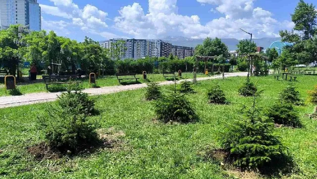 Нов парк изграждат в София, днес е първата копка в „Младост“ 