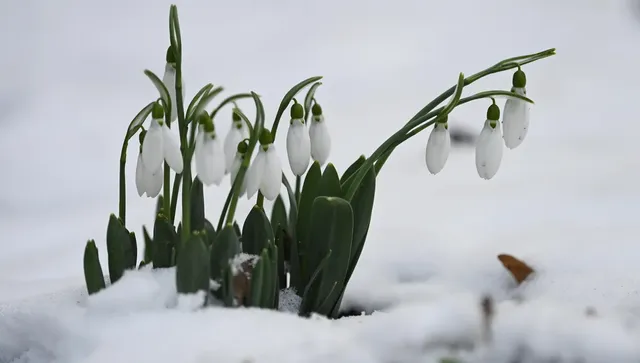 Обявен е жълт код за ниски температури в цялата страна 