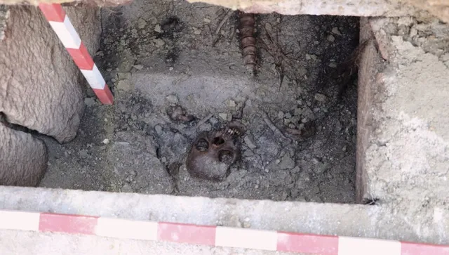 Картагенка в Хераклея Синтика: археологическо доказателство за икономически и социални връзки с далечните краища на империята