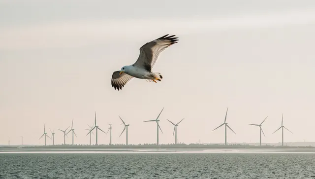Основният „убиец“ на птици не са вятърните турбини